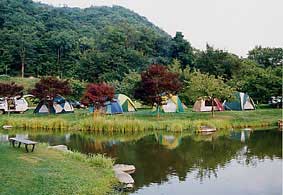 キャンプの風景
