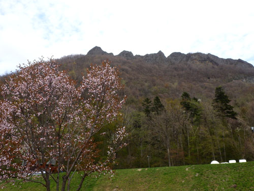 桜と八剣山
