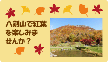 八剣山で紅葉楽しみませんか？